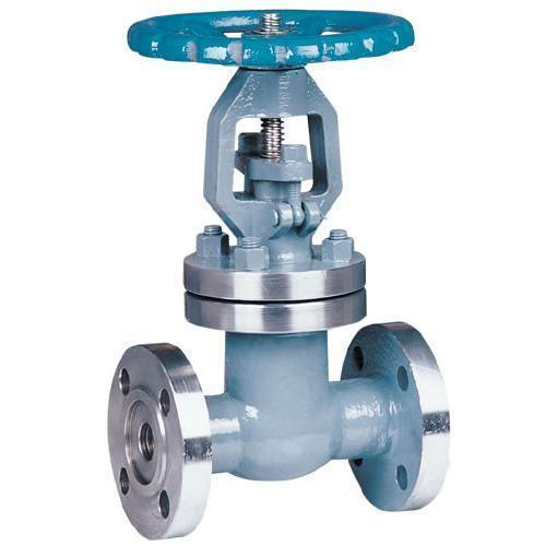 Stainless Steel Leader Gate Valves