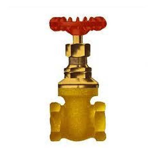 Leak Proof Gate Valve