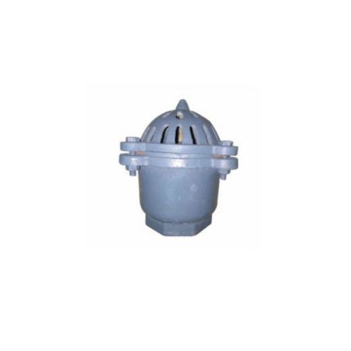 Rajiv Leather Flap Cast Iron Foot Valve