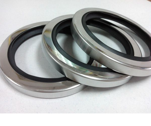 PTFE Lip Seals, For Sealing