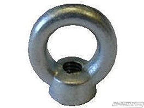 Sarvpar Stainless Steel Forged Eye Nuts