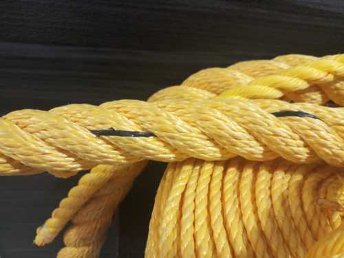 Marine Danline PP Rope, for Industrial