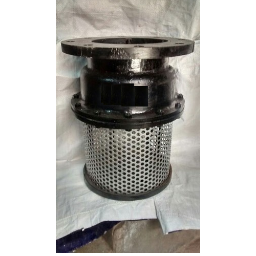 WORTH Cast Iron Stainless Steel Foot Valve, For Industrial, Size: 50 Mm To 500 Mm