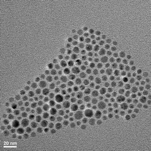 Platinum nanoparticles