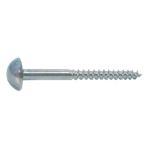 Mirror Screw