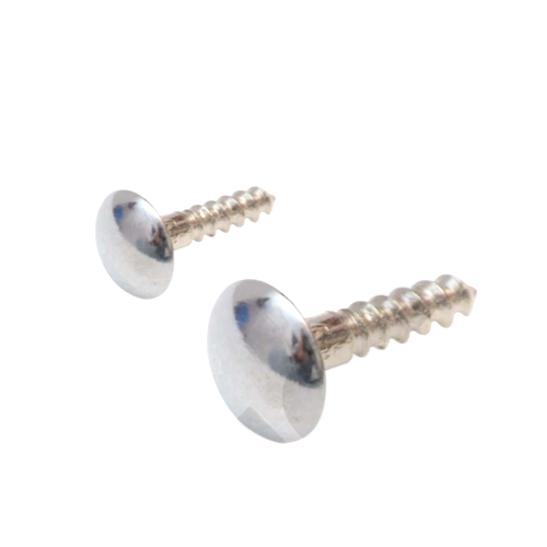 Round Stainless Steel Mirror Screw