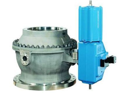 Neles Capping Valve