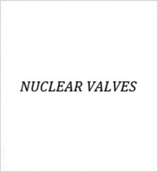 Nuclear Valve