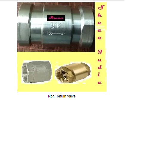 Stainless Steel Non Return Valve