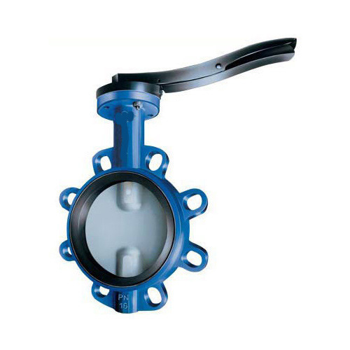 Stainless Steel Manual NRV & Butterfly Valves