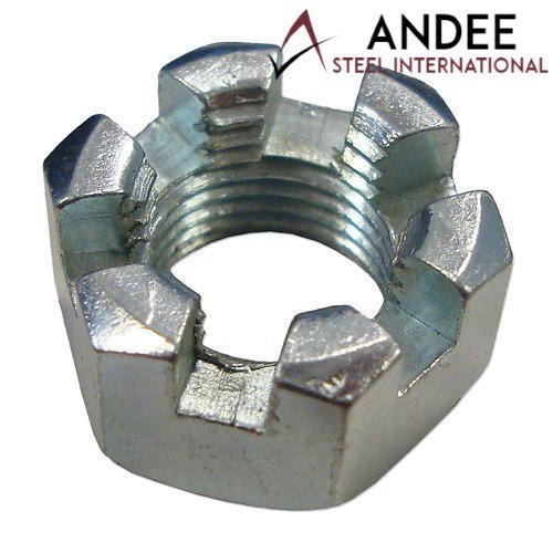 Ms Hexagonal Slotted Nut