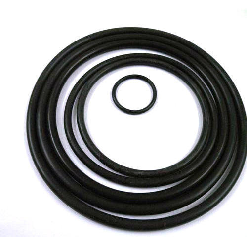 Oil Seal O Ring