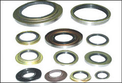 Oil Seals