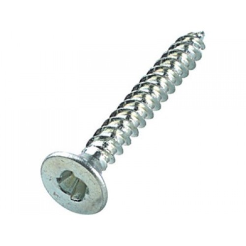 One Way Security Screw