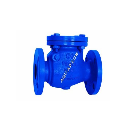 Cast Iron Flanged Swing Check Valve