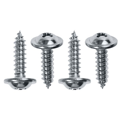 Stainless Steel Panel Screw