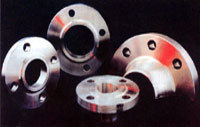 Flanges (Forged Plate)