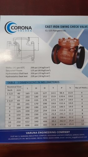 Lift Check Valve