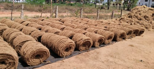 Brown 5 MM Curled Coir Rope, Packaging Type: Roll