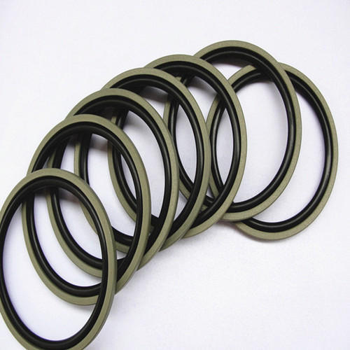 PTFE Piston Seal