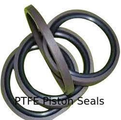 PTFE Piston Seals