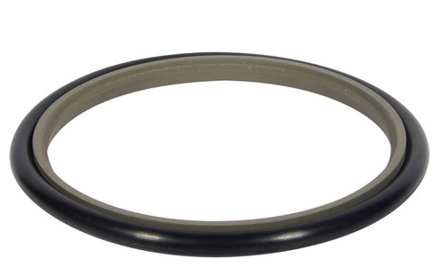 PTFE Rod Seal, Size: 25mm To 500mm