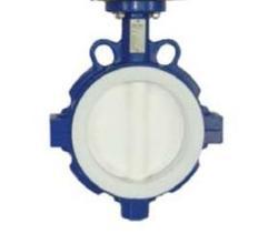 PTFE Valve Disc