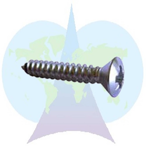 Stainless Steel Raised Head Combination Screw