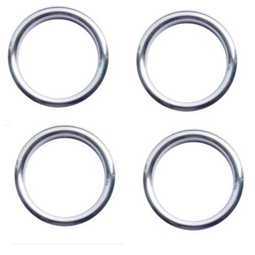 Ring Gasket, Thickness: 100