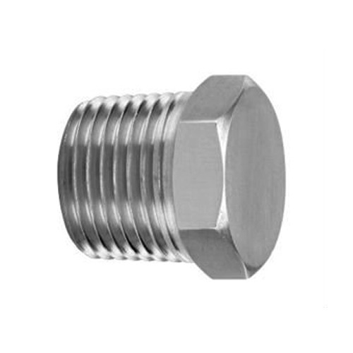 Stainless Steel S.s Pipe Plugs, for Automobile Industry