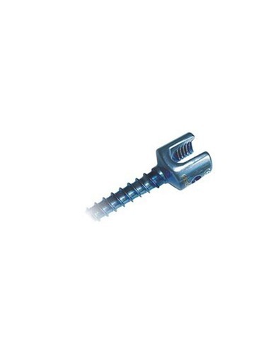 Sacral Screw