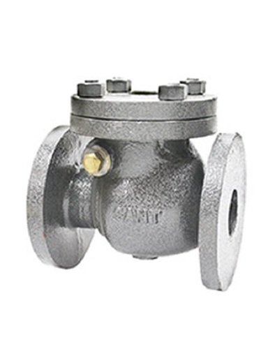 Air Sant CI Swing Check Valve CI 3C, Size: Standard