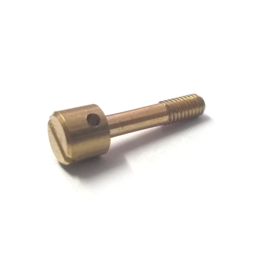 Packet Brass Round Sealing Screw