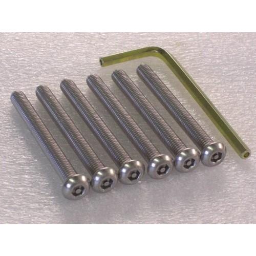 IMPORTED Polished Temper Proof Security Screws