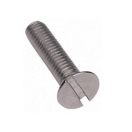 Stainless Steel Slotted Head PH HD Screw