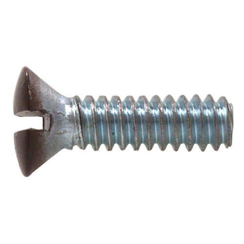 Slotted Oval Head Screw