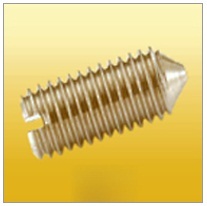 Slotted Set Screw With Cone Point