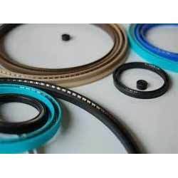 Spring Energized Seal