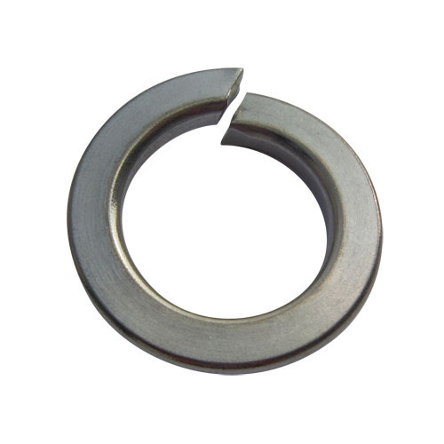 SS Spring Lock Washer