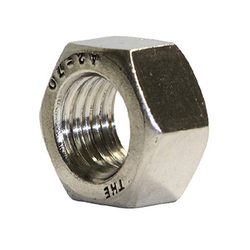 Hexagonal SS 309 Nut