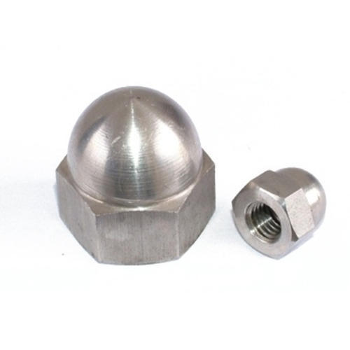 SS Cap Nuts, Packaging Type: Packet