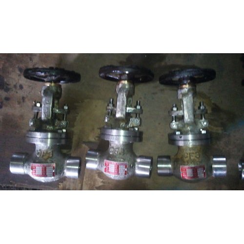 SS Globe Valve -NPT