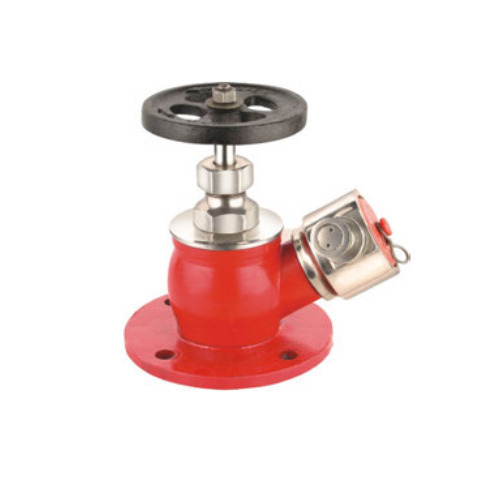 Cast Iron SS Hydrant Valve