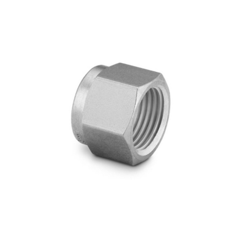 Stainless Steel SS Nut