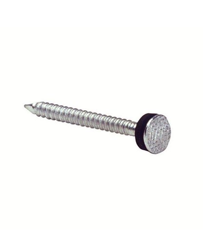 Ss 2 Inch Roofing Nail