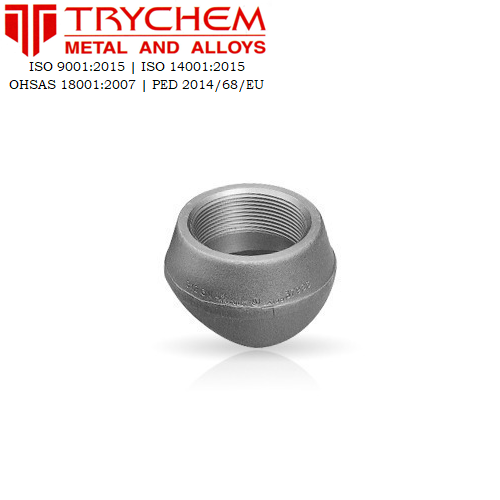 TRYCHEM Stainless Steel SS Threadolet