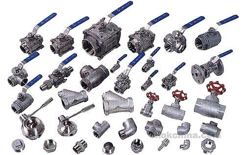 SS Valves & Pipe Fittings