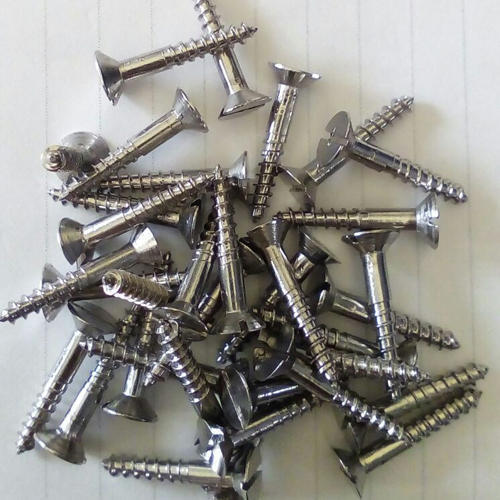 Stainless Steel SS Wood Screw