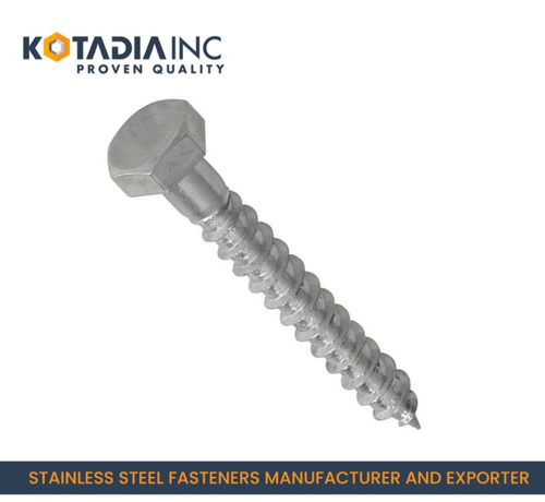 Stainless Steel Coach Screw / Lag Screw/ Din-571