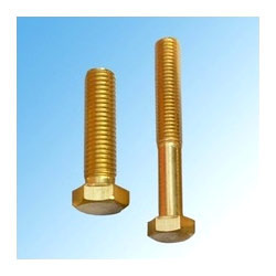 Stainless Steel Copper Screw
